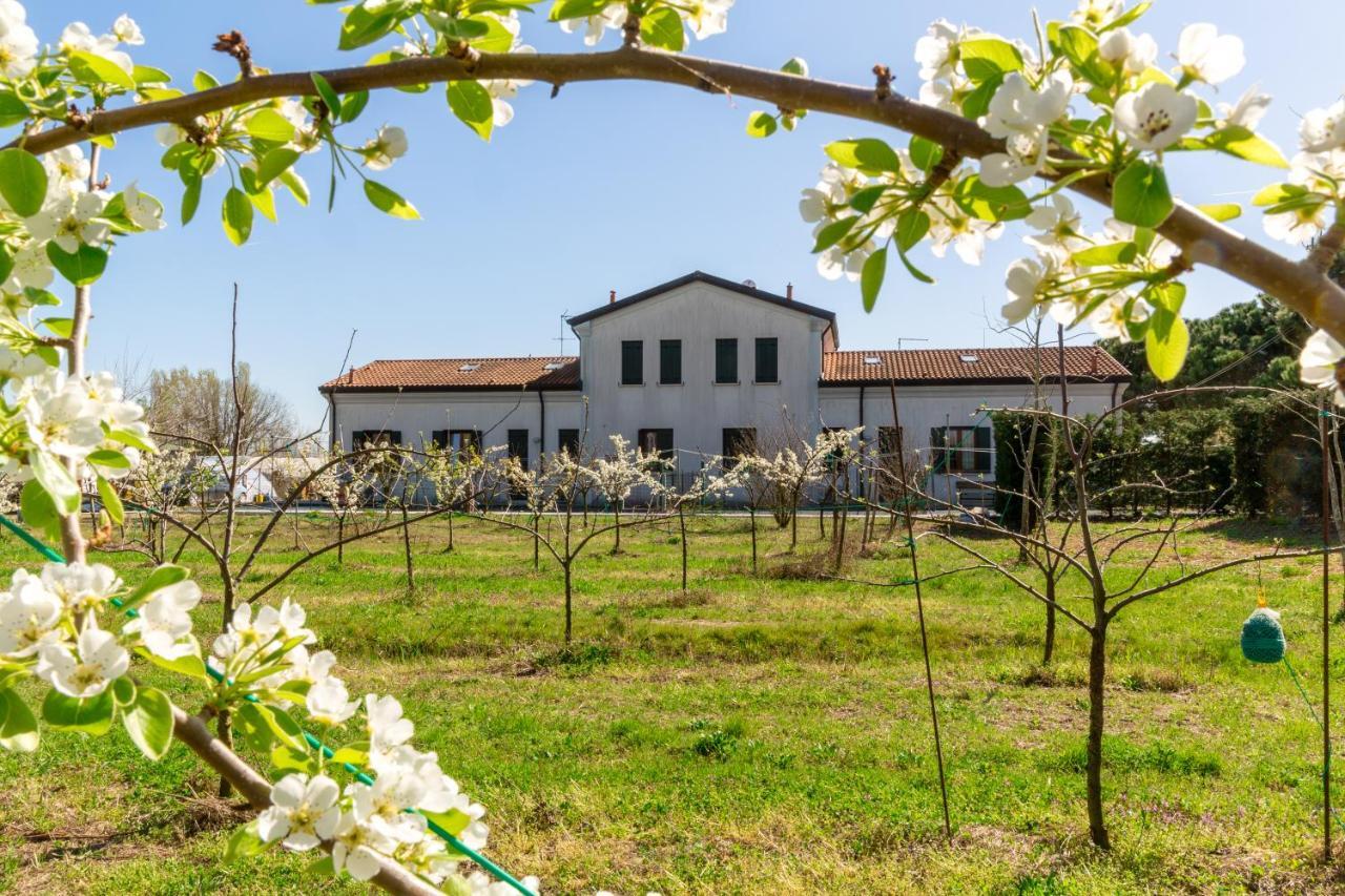 Agriturismo Ca' Baccan カヴァッリーノ・トレポルティ エクステリア 写真