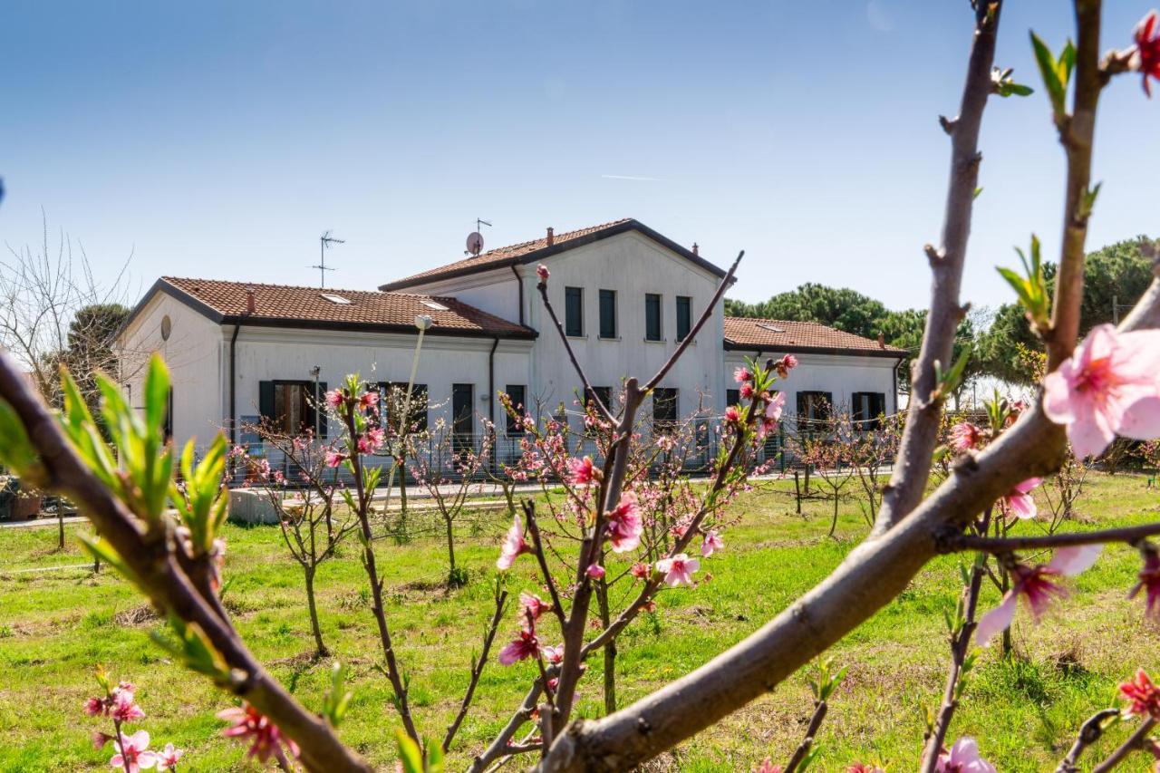 Agriturismo Ca' Baccan カヴァッリーノ・トレポルティ エクステリア 写真