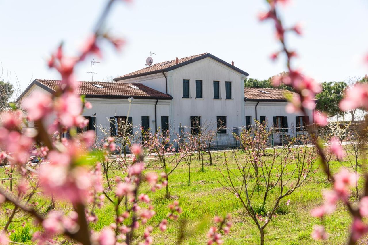 Agriturismo Ca' Baccan カヴァッリーノ・トレポルティ エクステリア 写真